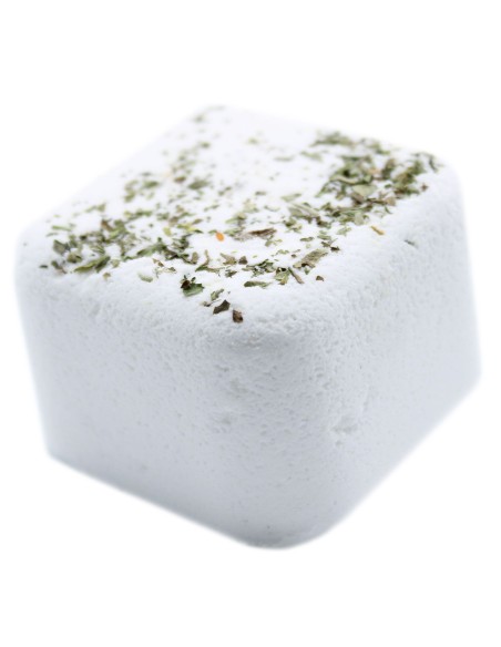 Vaporisateur de douche aromathérapie – Kick Start