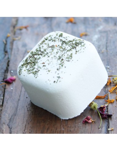 Vaporisateur de douche aromathérapie – Kick Start