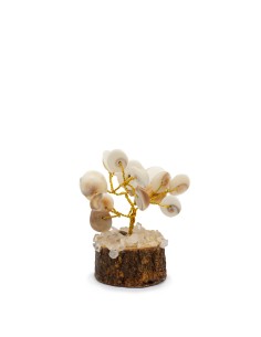Petit cercle Gomati Chakra & rudraksha