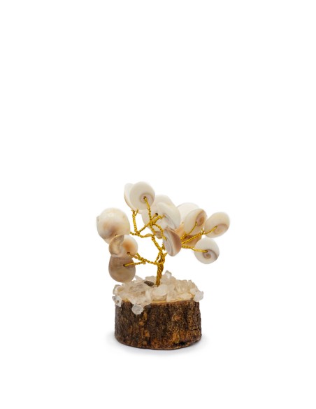 Petit cercle Gomati Chakra & rudraksha