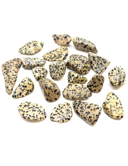 Pierres roulées grandes – Jaspe dalmatien