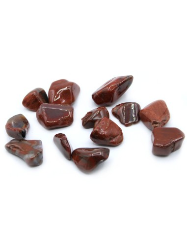 Pierres roulées grandes – Bois pétrifié