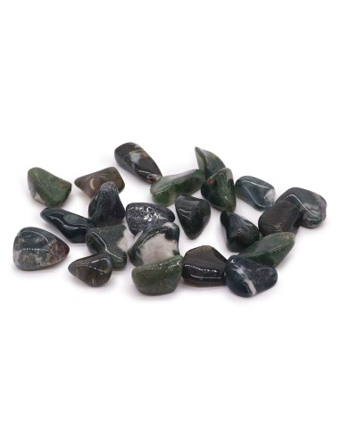 Pierres roulées grandes – Agate mousse verte