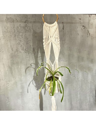 Suspension macramé longue avec anneau – Zen végétal