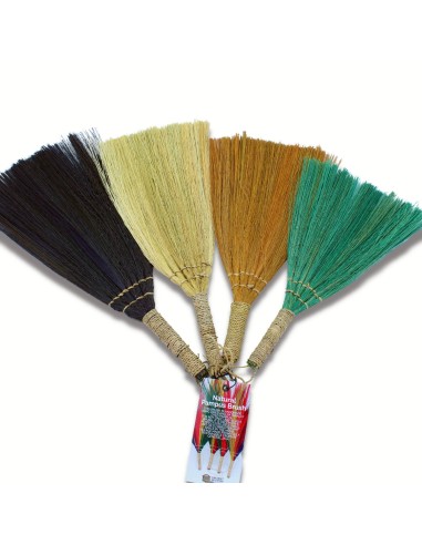 Décor mural pampas – Éventails multicolores
