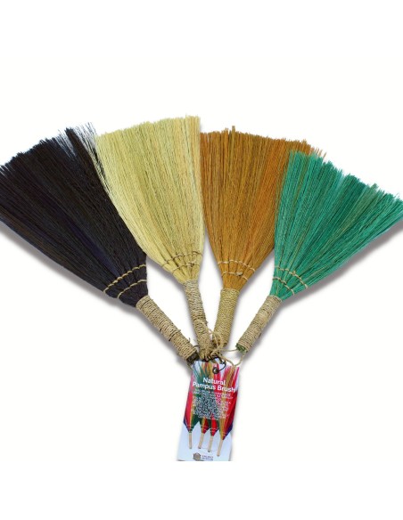 Décor mural pampas – Éventails multicolores
