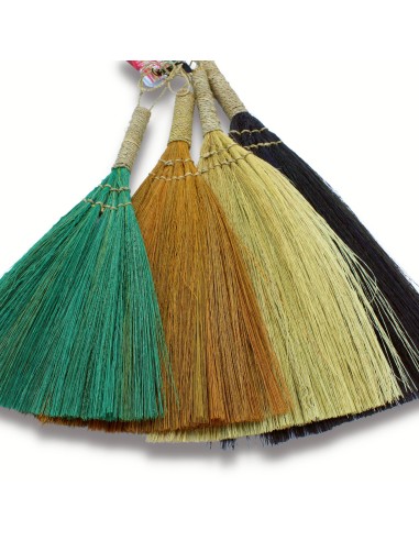 Décor mural pampas – Éventails multicolores