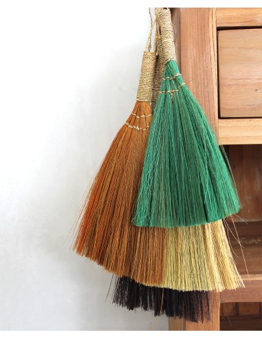 Décor mural pampas – Éventails multicolores