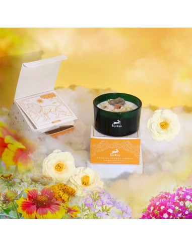 Bougie cristal Hop Hare – Fleur magique «Le Lion»