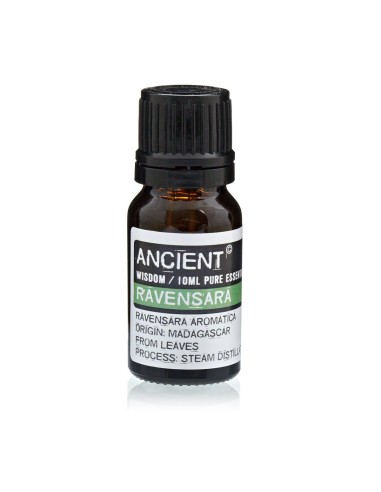 Huile essentielle de ravintsara – Pureté zen