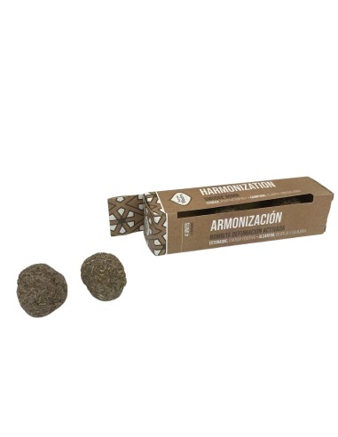 Boîte 4 pastilles d’encens - Défume Comp