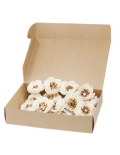 Fleurs naturelles pour diffuseur – Coquelicot sur corde