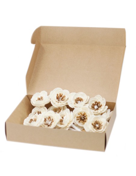Fleurs naturelles pour diffuseur – Coquelicot sur corde