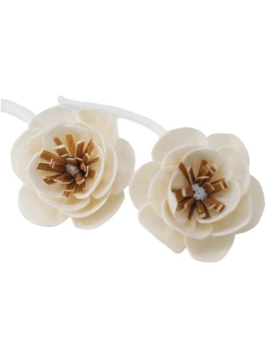 Fleurs naturelles pour diffuseur – Coquelicot sur corde