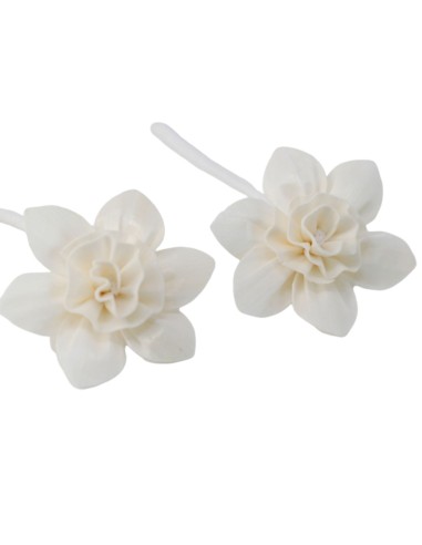 Diffuseur décoratif à fleurs naturelles – Lys grand sur corde