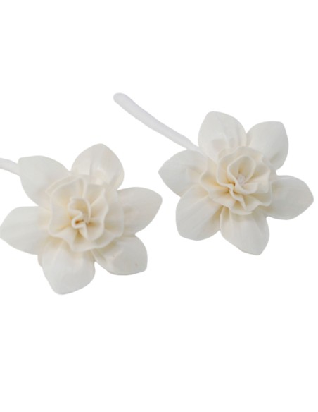 Diffuseur décoratif à fleurs naturelles – Lys grand sur corde
