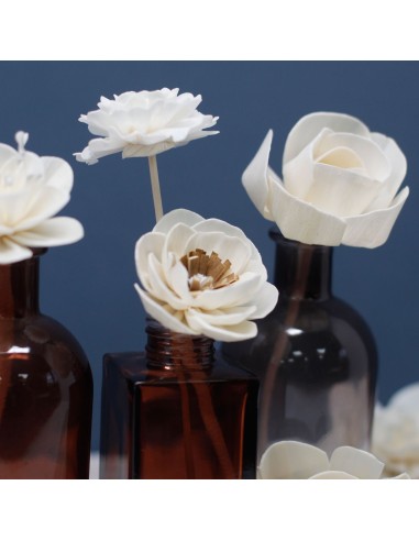 Diffuseur décoratif à fleurs naturelles – Lys grand sur corde