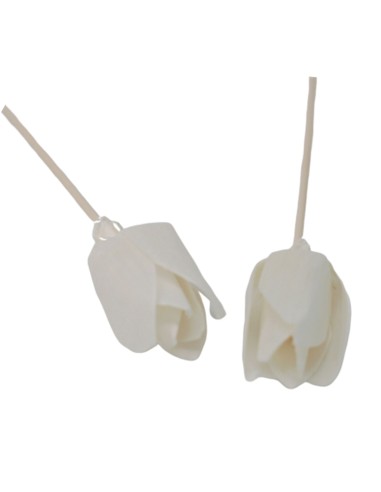 Diffuseur décoratif à fleurs naturelles – Tulipe sur tige