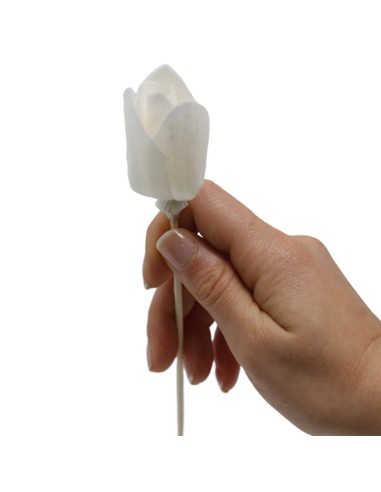 Diffuseur décoratif à fleurs naturelles – Tulipe sur tige