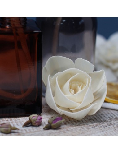 Diffuseur décoratif à fleurs naturelles – Tulipe sur tige