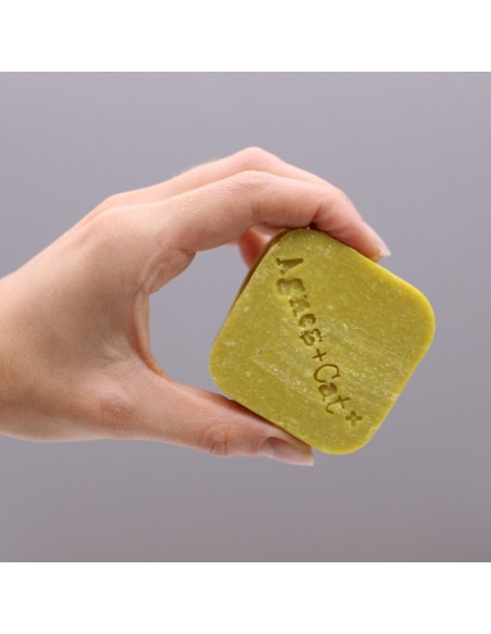 Shampoing solide – Sel marin & mousse