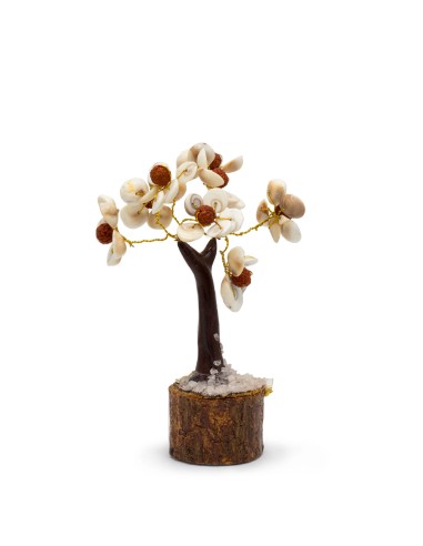 Arbre Gomati Chakra & rudraksha – Cercle sacré