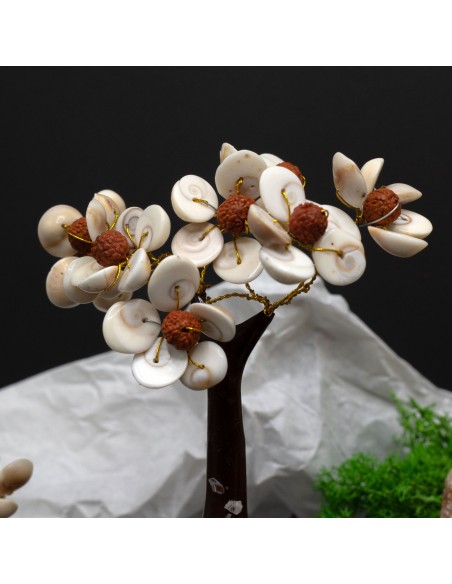 Arbre Gomati Chakra & rudraksha – Cercle sacré