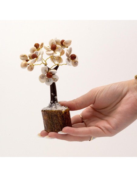 Arbre Gomati Chakra & rudraksha – Cercle sacré