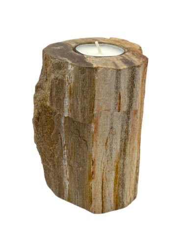 Photophore en bois pétrifié – Colonne