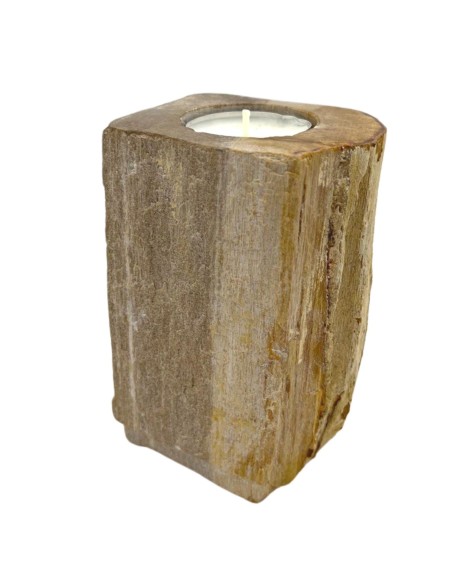 Photophore en bois pétrifié – Colonne