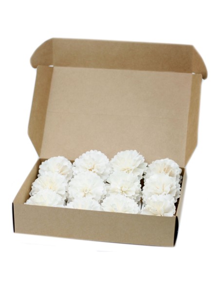 Fleurs naturelles pour diffuseur – Œillet sur corde