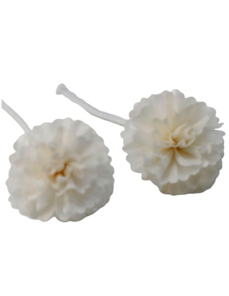 Fleurs naturelles pour diffuseur – Œillet sur corde