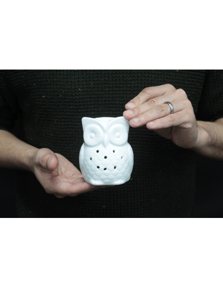Brûle-parfum classique en céramique – Hibou