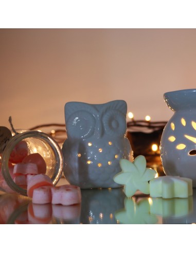 Brûle-parfum classique en céramique – Hibou