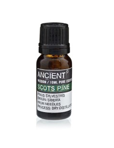 Huile essentielle de pin sylvestre – Fraîcheur forestière