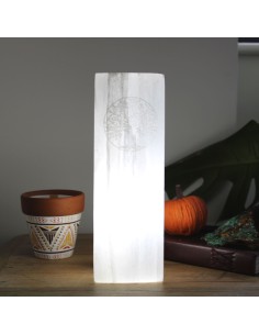 Lampe bloc de sélénite – Arbre de Vie