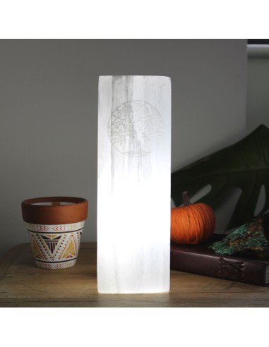 Lampe bloc de sélénite – Arbre de Vie