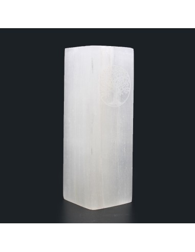 Lampe bloc de sélénite – Arbre de Vie