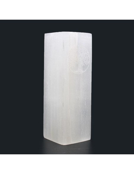 Lampe bloc de sélénite – Arbre de Vie