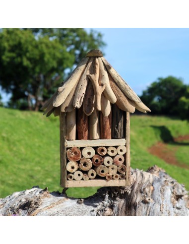 Coffret double Bee & Insect en bois flotté 17×25×33 cm