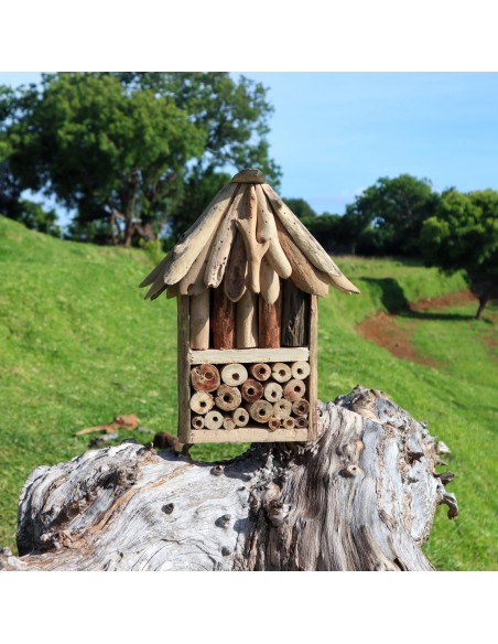 Coffret double Bee & Insect en bois flotté 17×25×33 cm