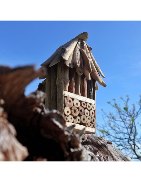 Coffret double Bee & Insect en bois flotté 17×25×33 cm