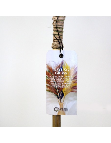 Palmier naturel Rayung - 1,6 m