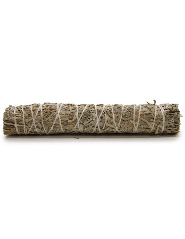 Fagot d’herbes – Sauge bleue
