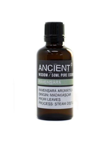 Huile essentielle de ravintsara – Pureté fraîche zen