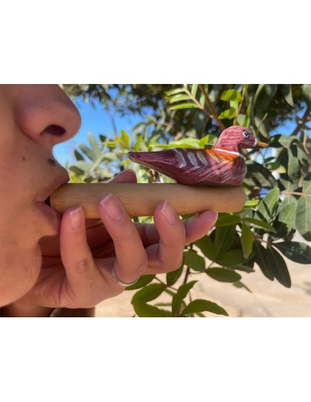 Sifflet à oiseaux en bambou – Modèle simple