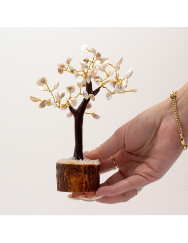 Arbre Gomati Chakra – Cercle énergétique
