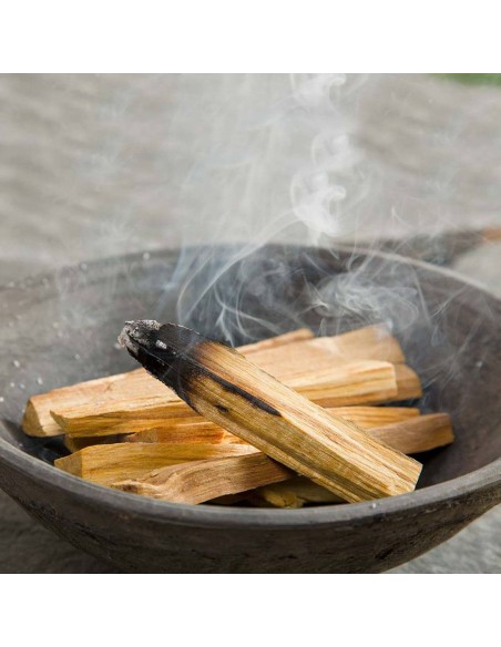 Bâtonnets de palo santo – Bois vert (100g)