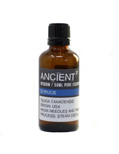 Huile essentielle d’épicéa – Fraîcheur zen