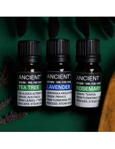 Coffret d’huiles essentielles – Lavande, arbre à thé & romarin